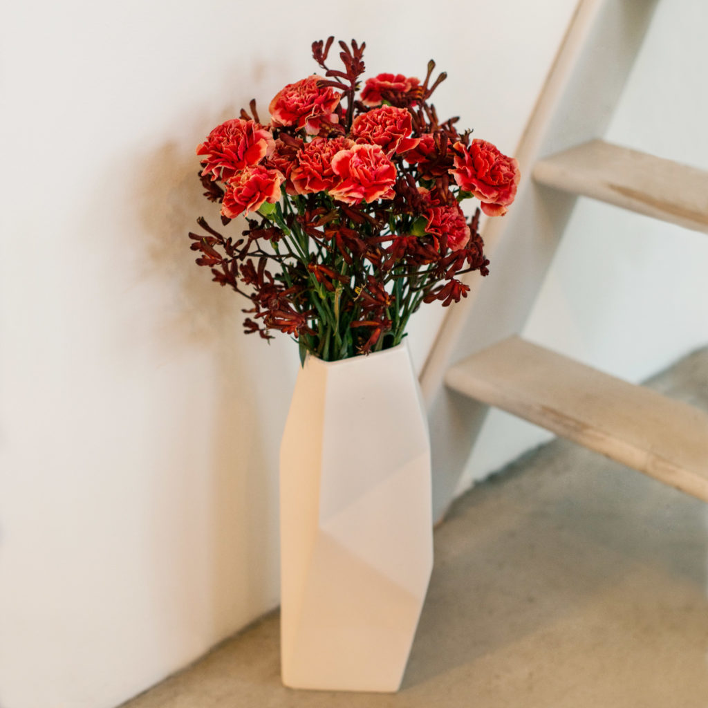 rote-Nelken-Dianthus-mit-Kängurublume-Anigozanthos