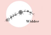 Astro-Blumen: Sternzeichen Widder