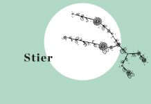 Astro-Blumen: Sternzeichen Stier