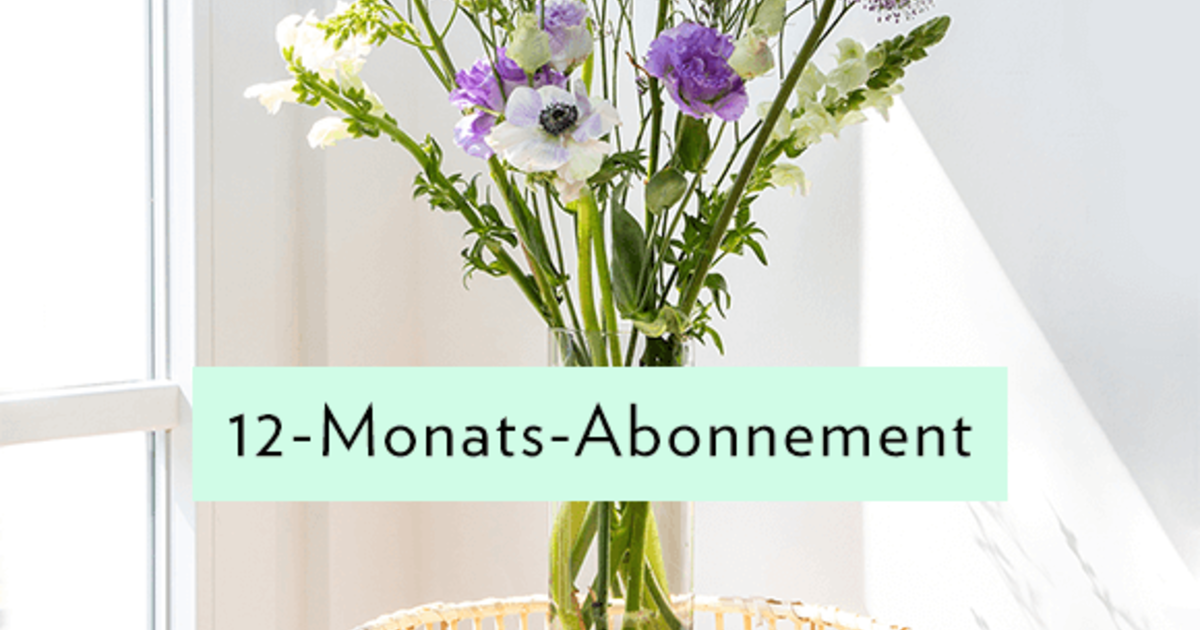 12 Monatabo